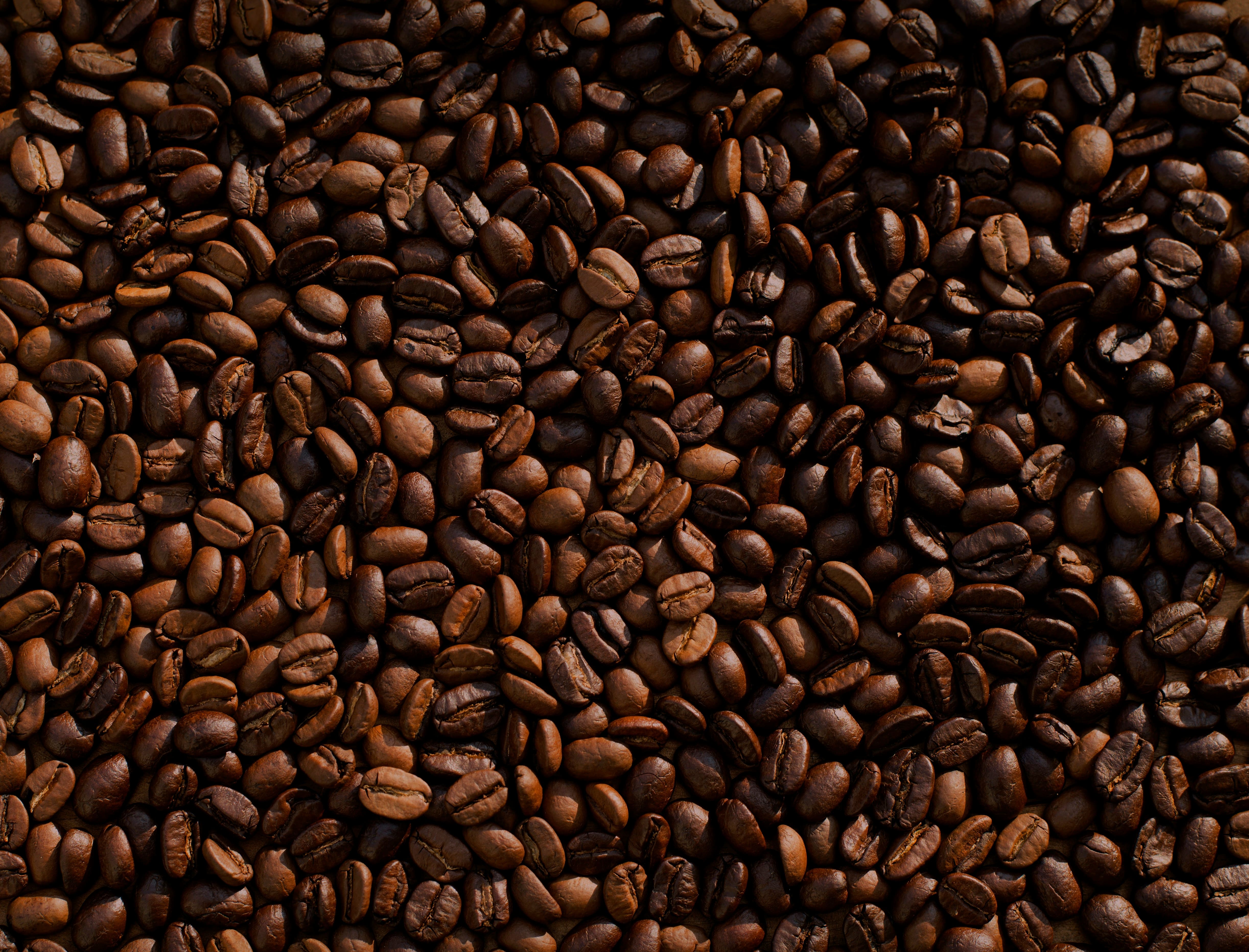 Kopi Ibun
